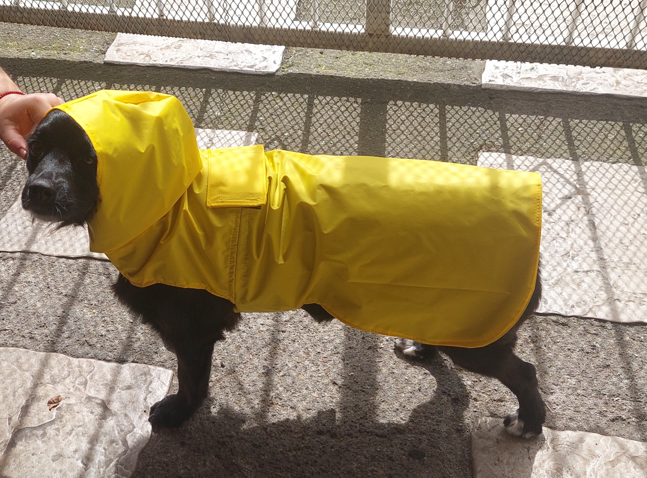 Capas para la lluvia - Image 3